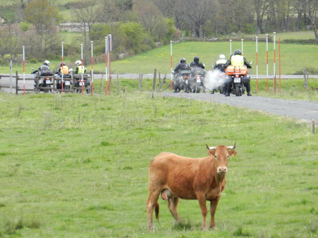 מלון Reinosilla Posada Molino La Vega מראה חיצוני תמונה